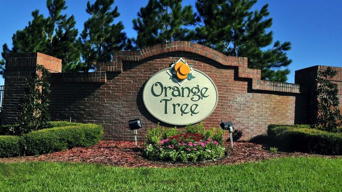 Orange Tree